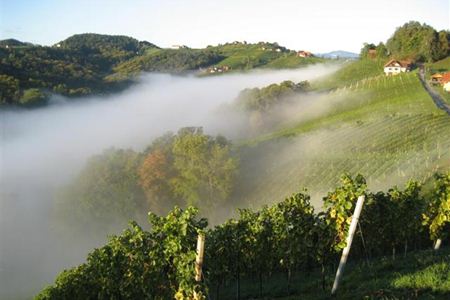 Buschenschank Adam-Schererkogl