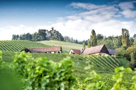 Buschenschank Trabos (vulgo Sobetz)