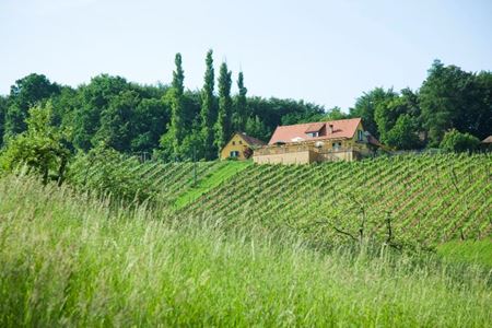 Buschenschank Trummer am Obegg