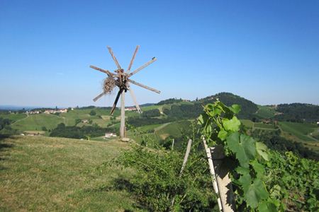 Buschenschank Adam-Schererkogl