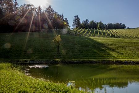 Buschenschank Trabos (vulgo Sobetz)