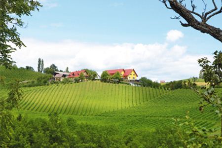 Buschenschank Fellner