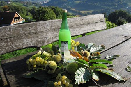 Buschenschank Adam-Schererkogl