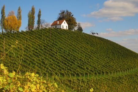 Buschenschank Adam-Schererkogl