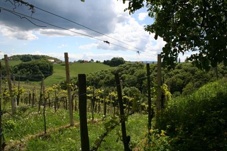 Buschenschank Gründl-Labuttendorf