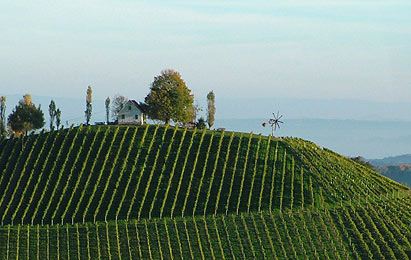 Buschenschank Gründl-Labuttendorf