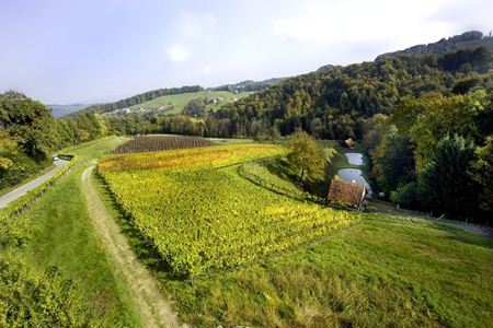 Buschenschank Pugl