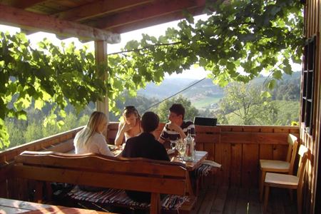 Buschenschank Stelzl Bernd - Hirritschberg