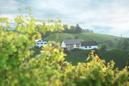 Buschenschank Brenner am Rossberg