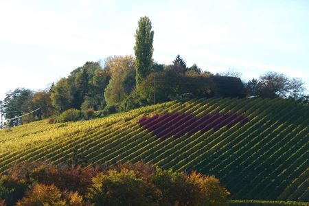 Buschenschank Liebmann