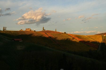 Buschenschank Dreisiebner-Stammhaus