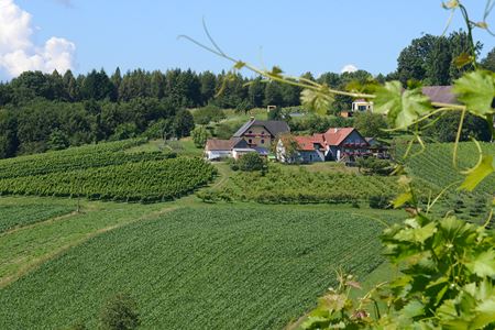 Buschenschank Tscheppe-Kapun