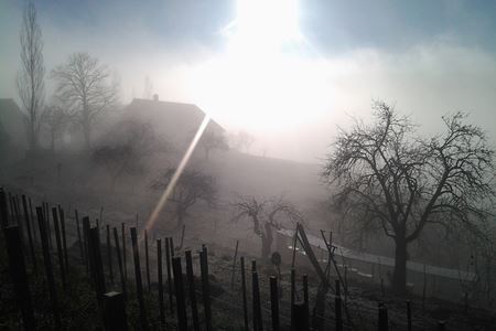 Buschenschank Ober Guess