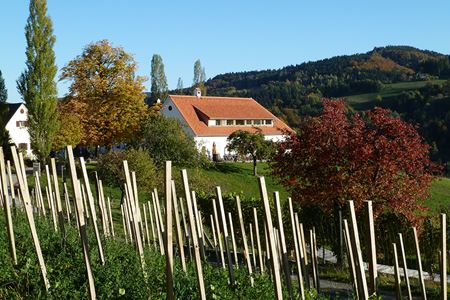 Buschenschank Ober Guess