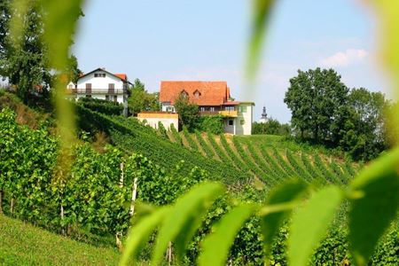 Buschenschank Assigal