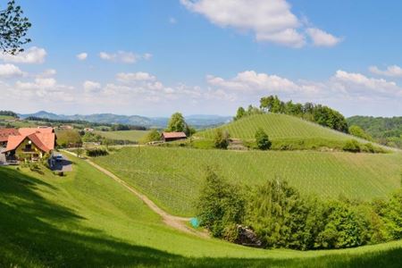 Buschenschank Pölzl (vulgo Großzierer)